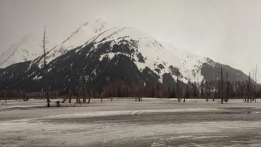 Only In Alaska 12 Photograph by Robert Fawcett