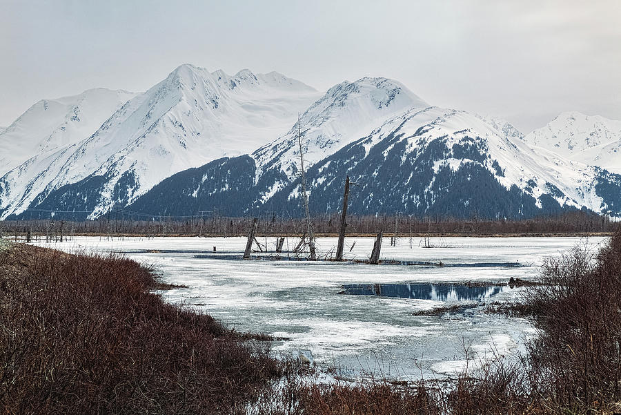 Only In Alaska 14 Photograph by Robert Fawcett