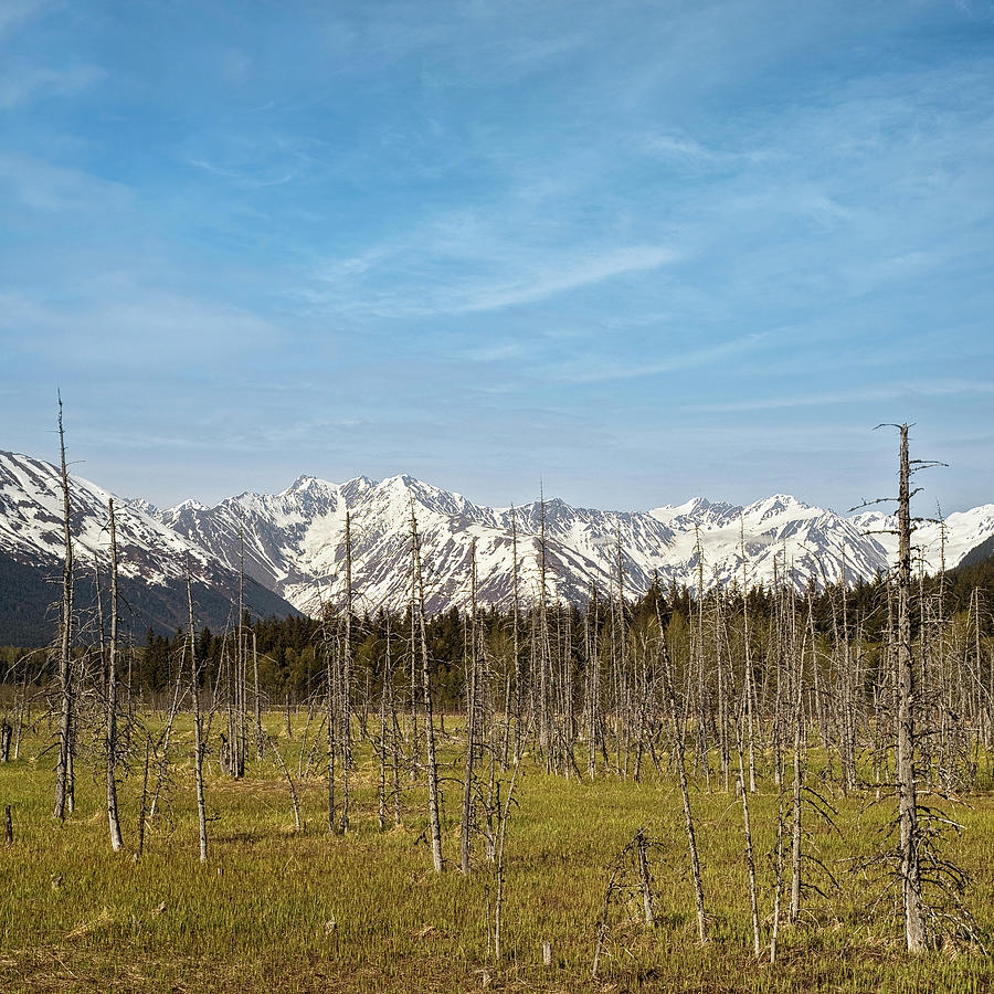 Only In Alaska 15 Photograph by Robert Fawcett