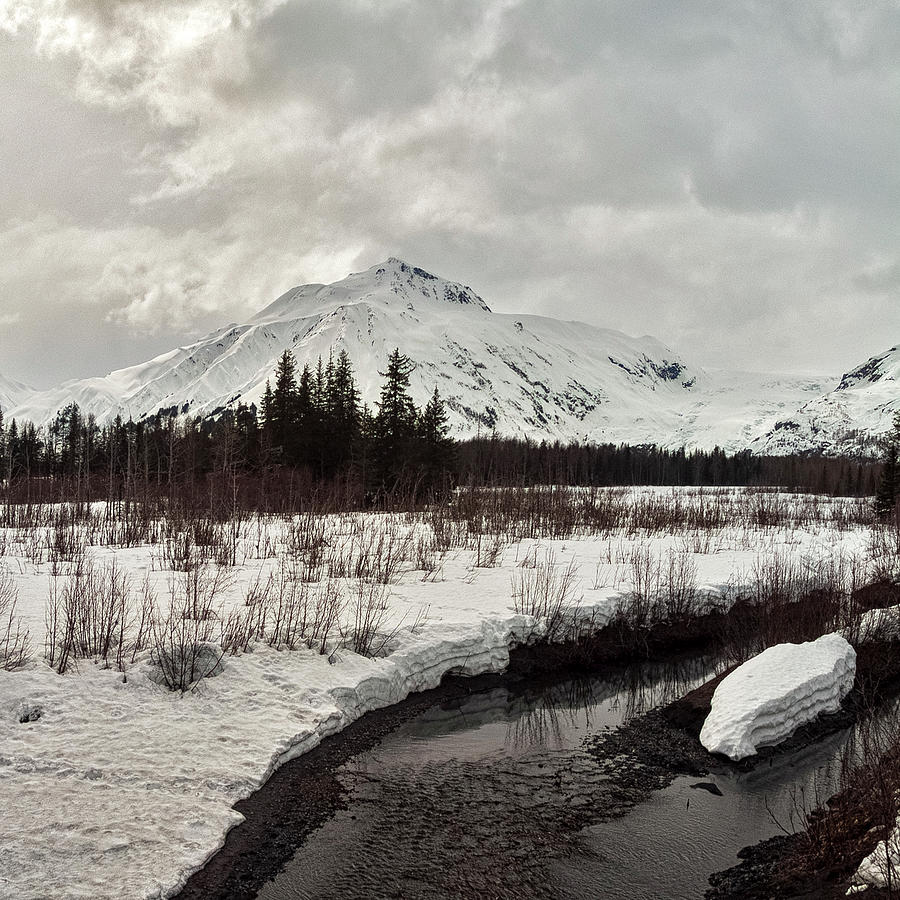 Only In Alaska 17 Photograph by Robert Fawcett