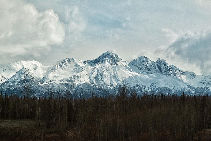 Only In Alaska 20 Photograph by Robert Fawcett