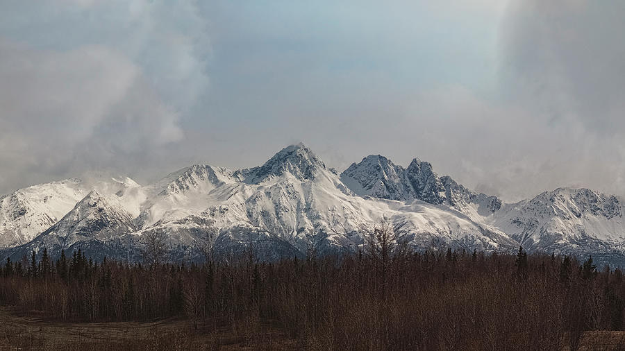 Only In Alaska 21 Photograph by Robert Fawcett