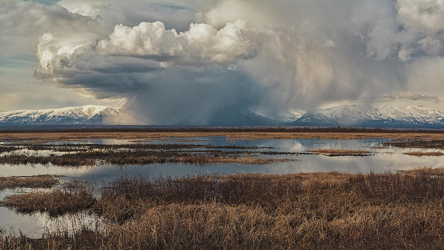Only In Alaska 24 Photograph by Robert Fawcett