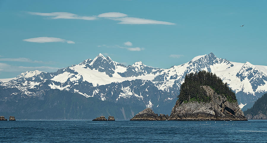 Only In Alaska 31 Photograph by Robert Fawcett