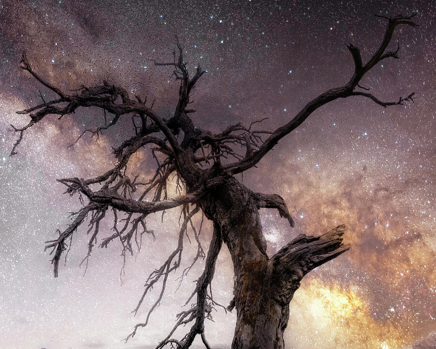 Only the Stars Last Forever Photograph by Theresa D Williams Smoky Mountains Only the Stars Last Forever Photograph by Theresa D Williams Smoky Mountains