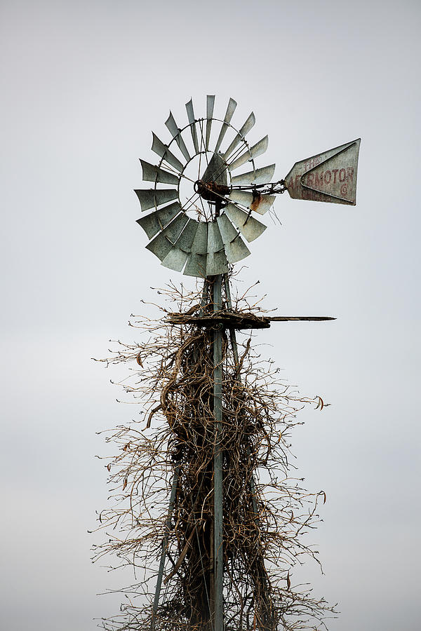 Only The Wind - Vines Cover Legs Of Old Windmill In Oklahoma Photograph