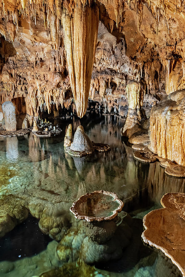 onondaga cave lily pad room        
        <figure class=