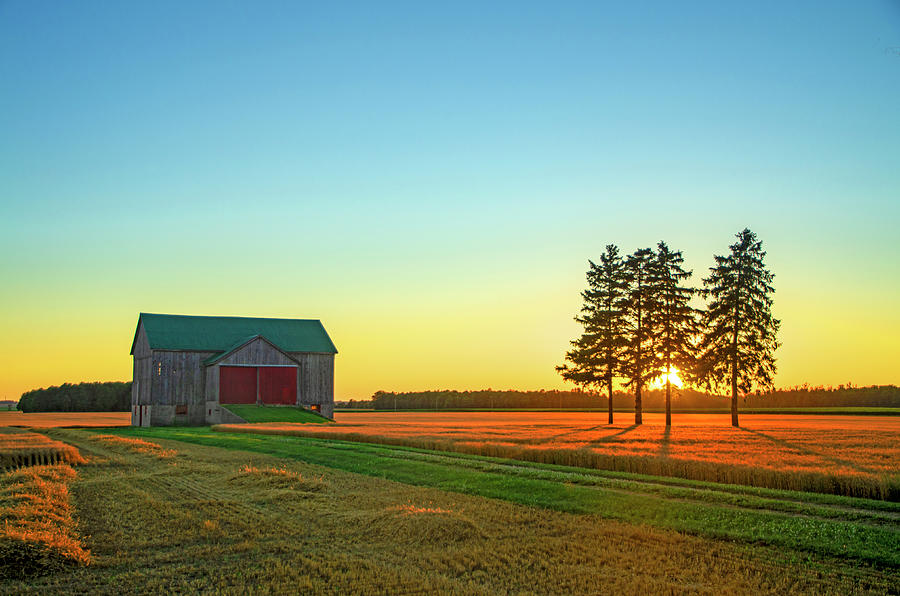 Sunset Photograph - Ontario Barn at Sunset by Brian Shaw
