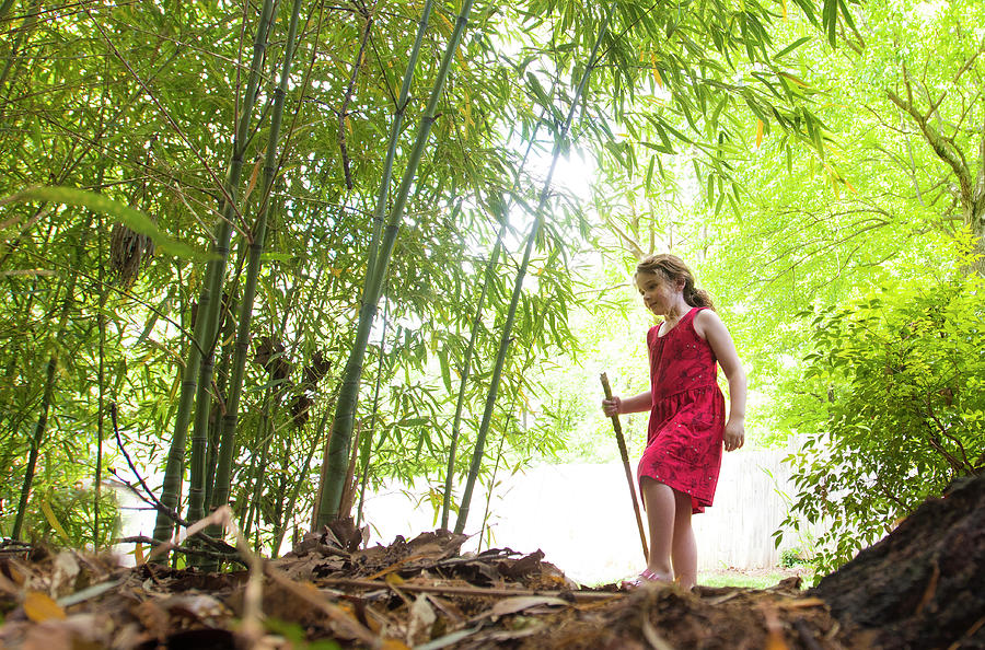 Oona In the Bamboo Forest Photograph by Eric Abernethy