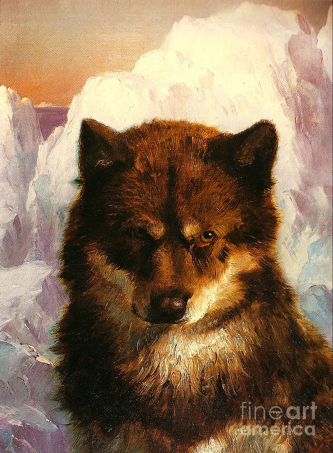 Oosisoak Inuit Malamute Siberian Husky Dog with Arctic Icebergs 1861 Painting by Peter Ogden