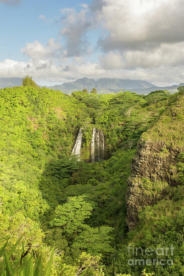 Tree Photograph - Opaekaa Falls on Kauai, Hawaii by Nancy Gleason