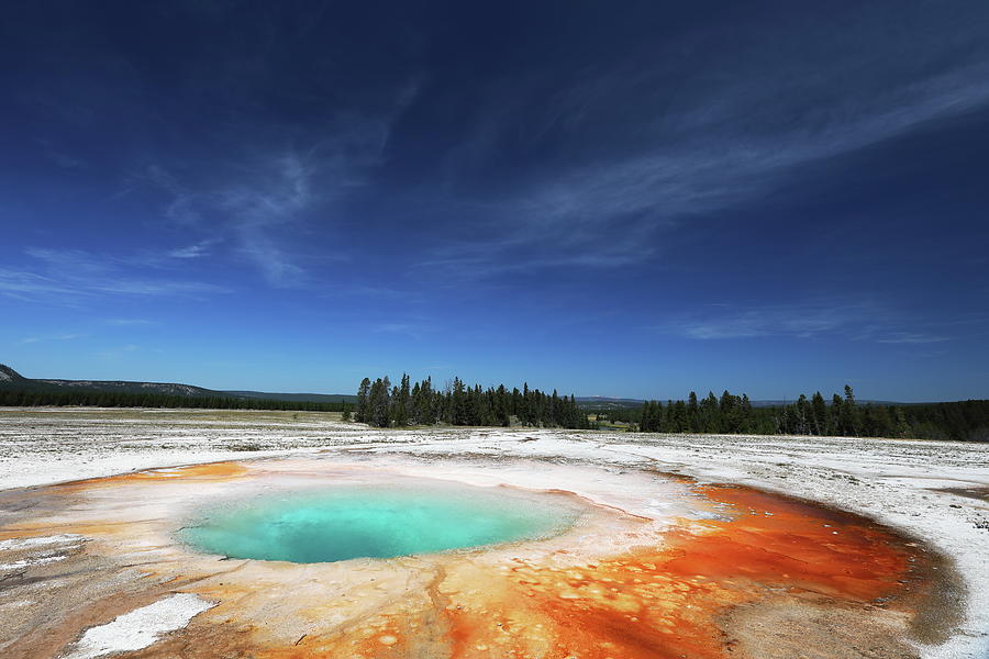 Opal pool Photograph by Alex Nikitsin - Fine Art America