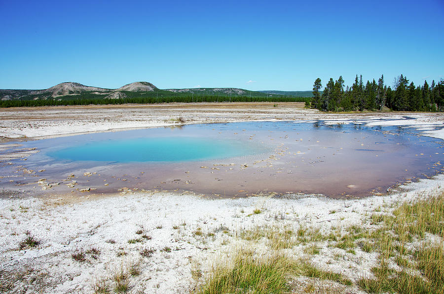 Opal Pool Yellowstone Wyoming  Photograph by Debra Martz