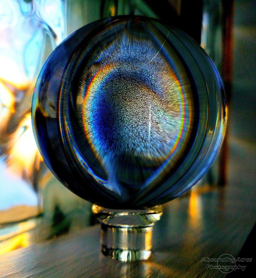Opalescent Lensball Photograph by Amanda Rae