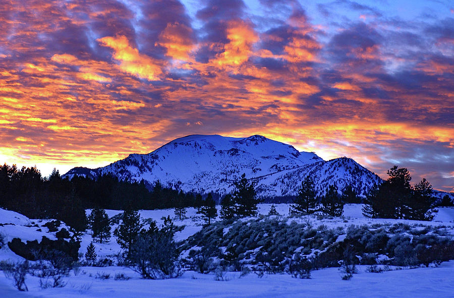 Mammoth Mountain - Opalescent Sunset   Photograph by Bonnie Colgan