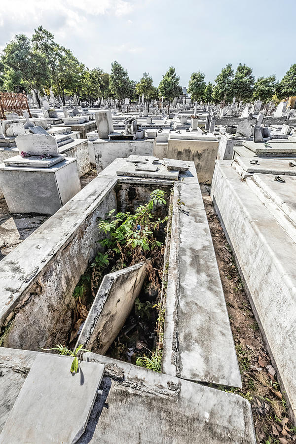 Open Crypt Photograph by David McDonald - Fine Art America