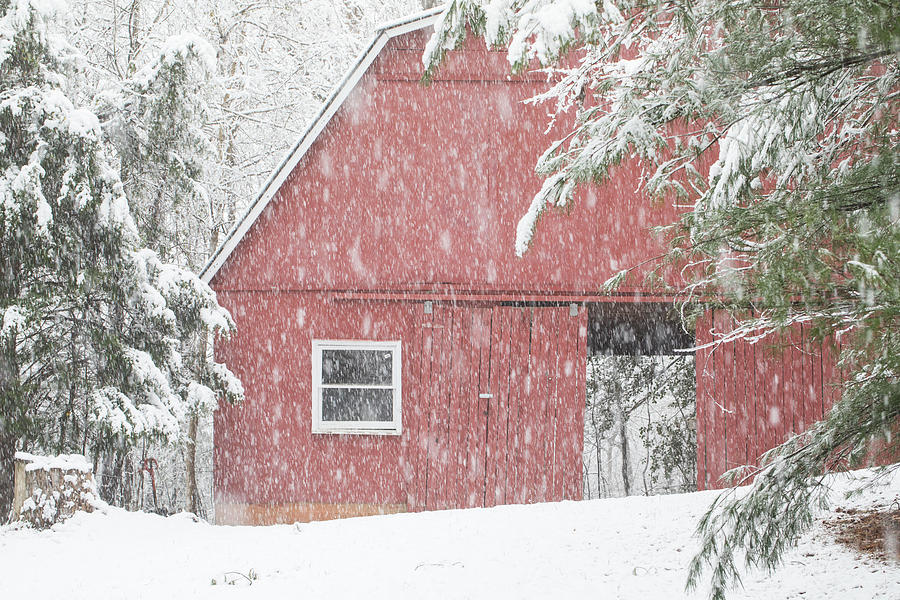Open Door Barn in Snow Photograph by Charles Floyd