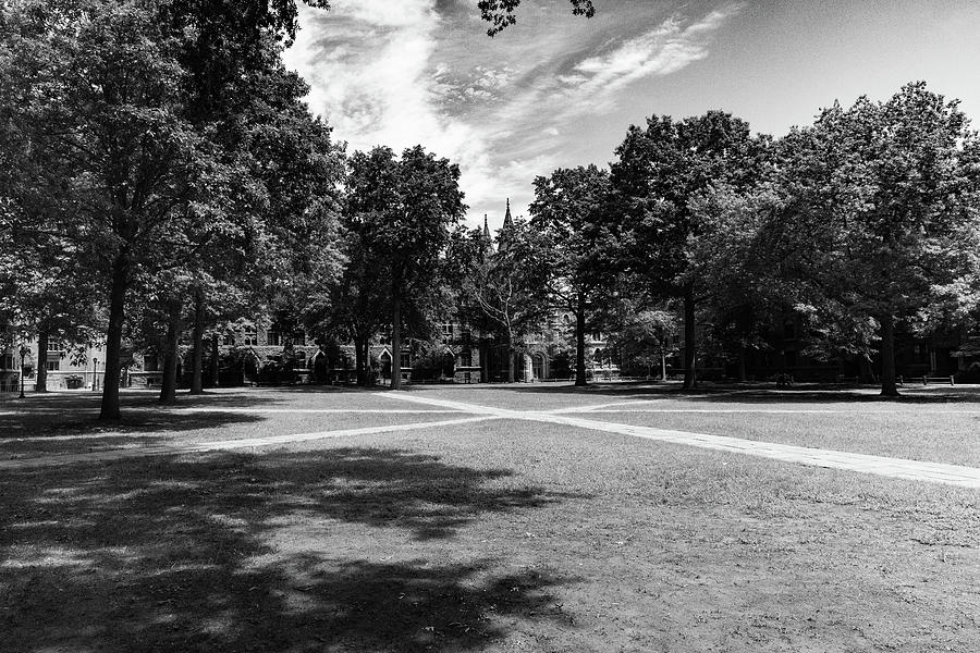 Open field on the campus of Yale University in black and white Photograph by Eldon McGraw
