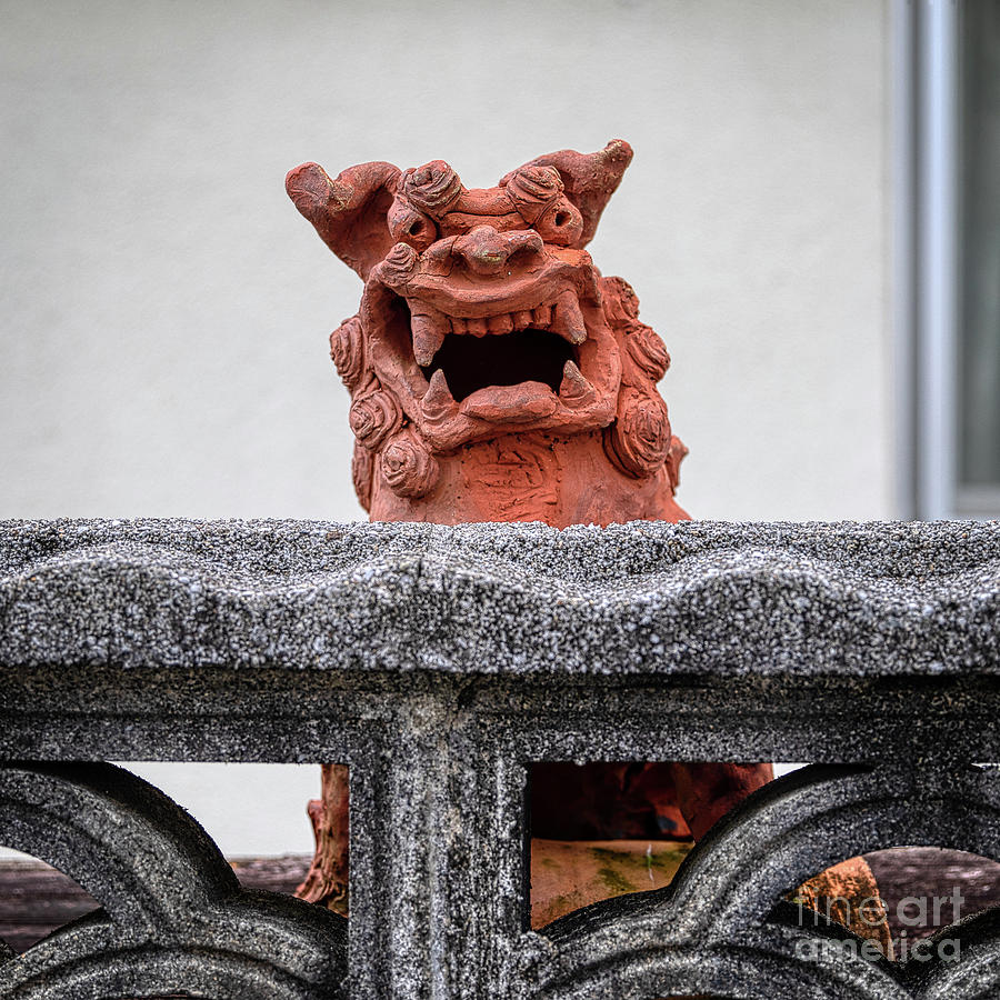 Open-Mouthed Shisa Photograph by Rebecca Caroline Photography