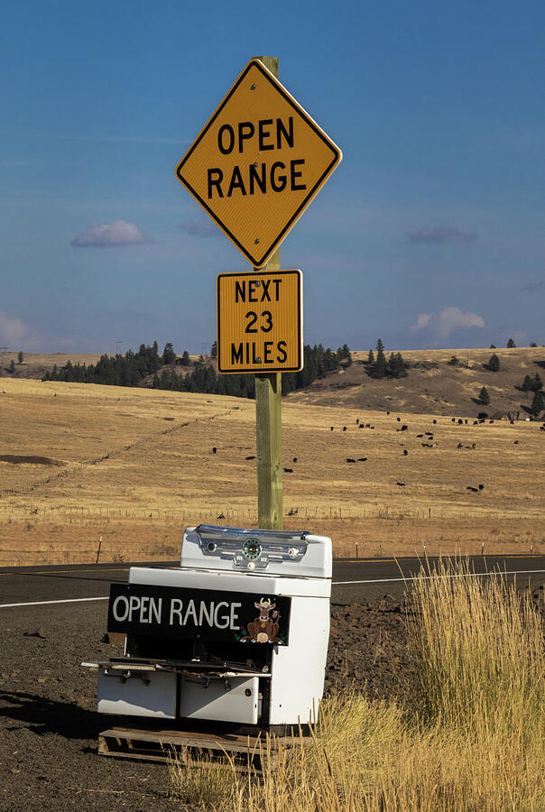 Open Range Photograph by Dan Hartford