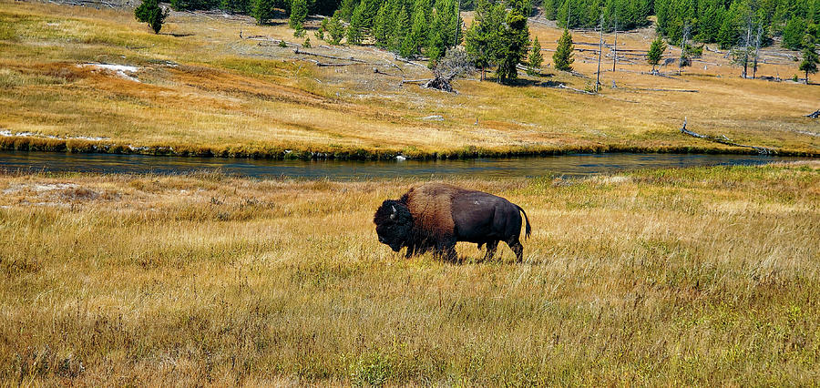 Open Range Photograph by Eileen Bradfield - Fine Art America