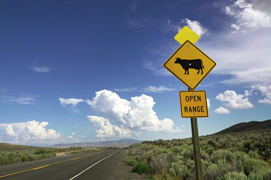 Open Range Sign Photograph by Buddy Mays - Fine Art America