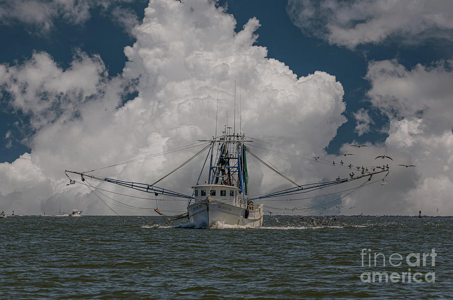 Open Seas Lowcountry Shrimping Photograph by Dale Powell