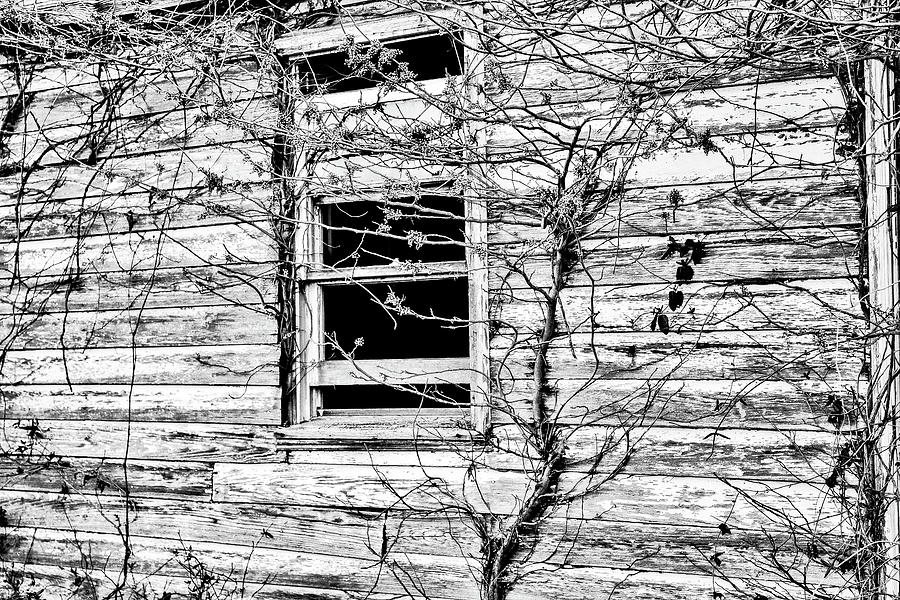 Open Window Photograph by Addison Likins