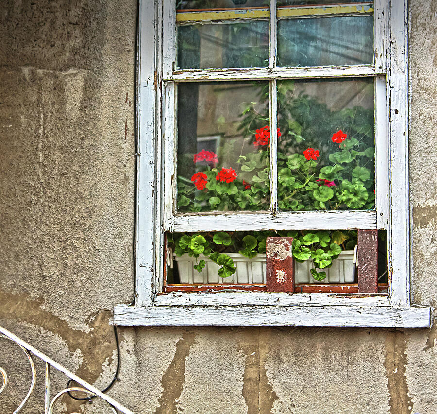 Open window Photograph by Tatiana Travelways