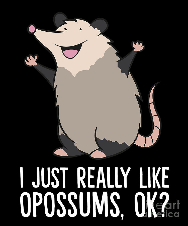 Opossums Love I Just Really Like Opossums Ok Cute Opossum Digital Art By Eq Designs Pixels