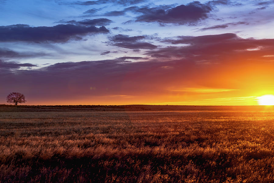 Opposite Sides Photograph by Tracy Harms - Fine Art America