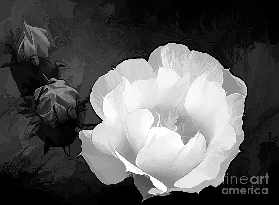 Opuntia Flower in Acrylic BW Photograph by Diana Mary Sharpton