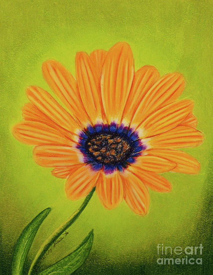 Orange African Daisy Painting by Dorothy Lee