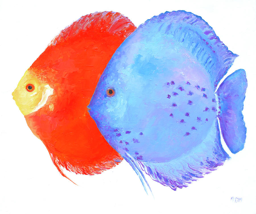 Orange and Blue Discus Fish Painting by Jan Matson