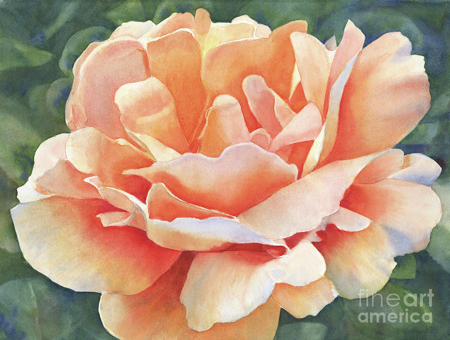 Orange and Peach Colored Rose Blossom Close up Painting by Sharon Freeman