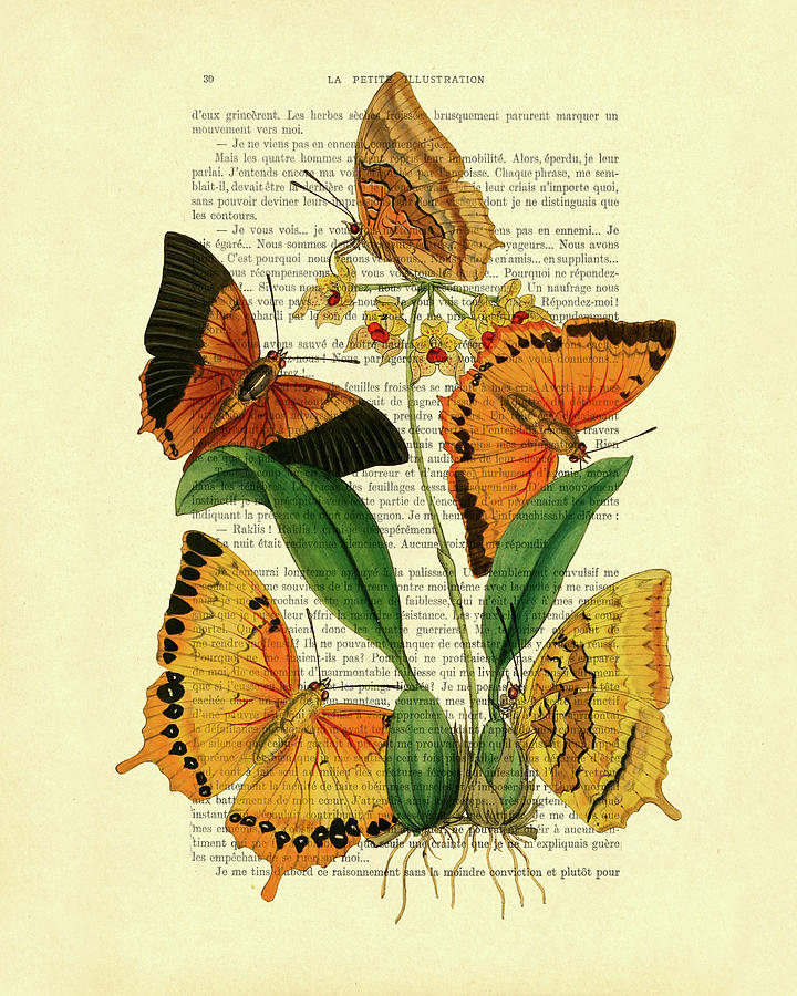 Butterfly Digital Art - Orange and yellow butterflies art by Madame Memento
