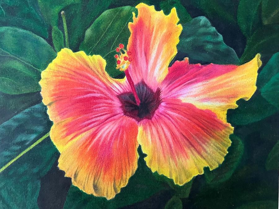 Floral Drawing - Orange and Yellow Flower by T J Strutton