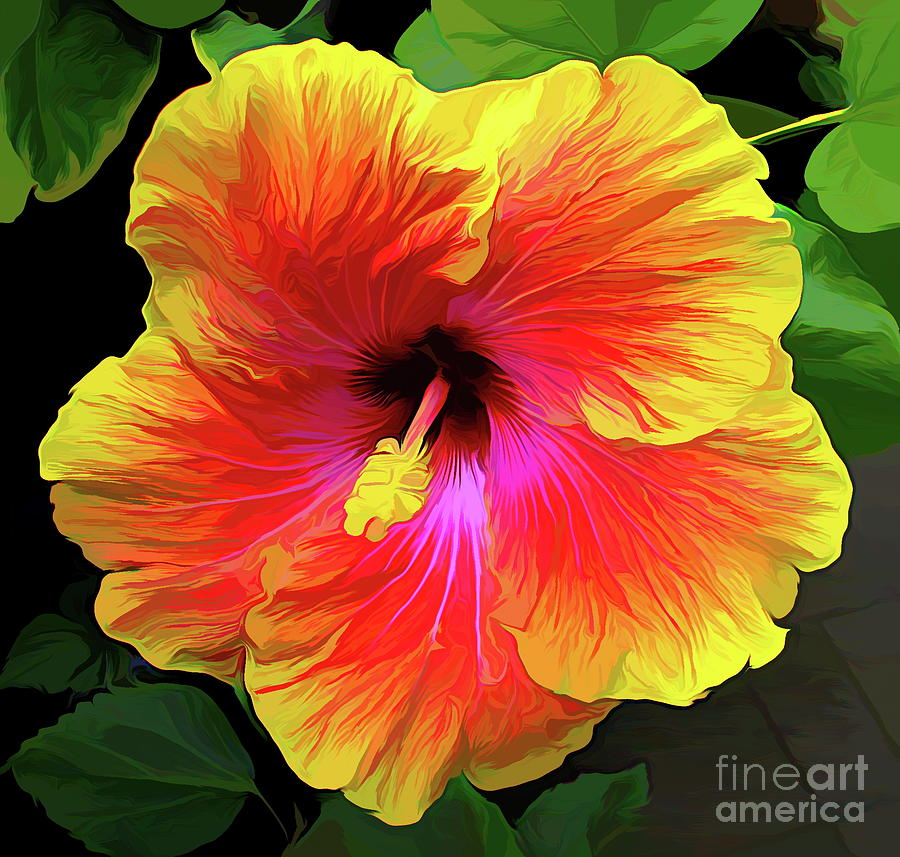 Orange and Yellow Hibiscus Macro Abstract Acrylic Effect Photograph by Rose Santuci-Sofranko