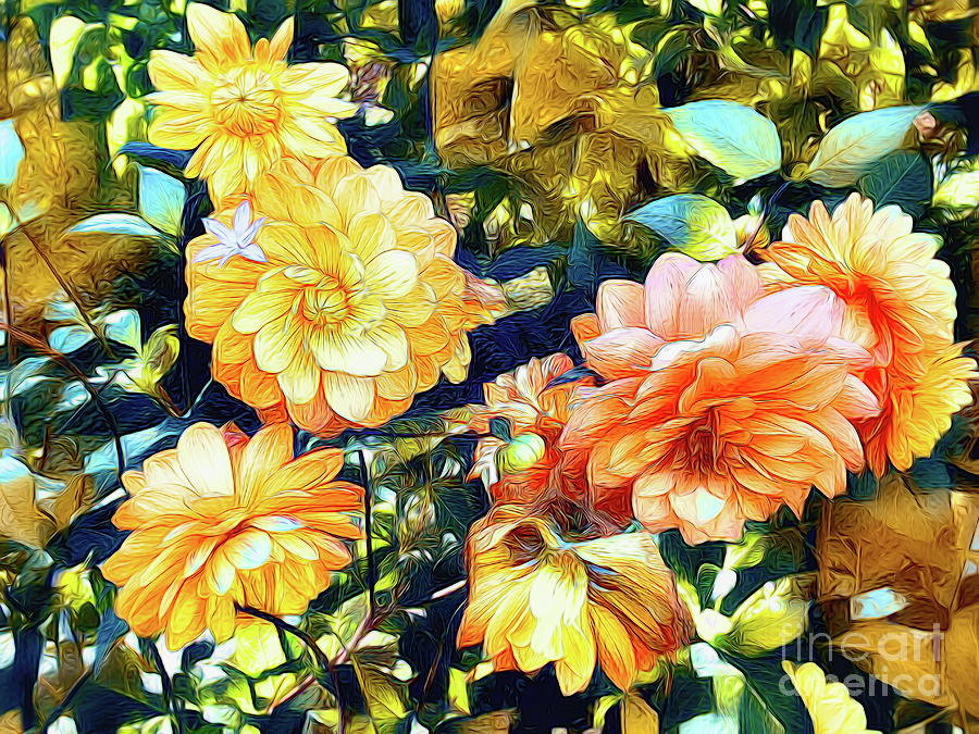 Orange and Yellow Vintage Painterly Dahlias Photograph by Sea Change Vibes