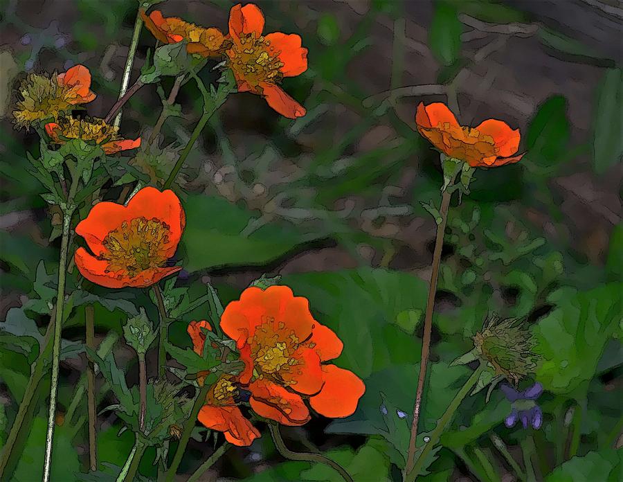 Flower Photograph - Orange Beauties by Julie Grace
