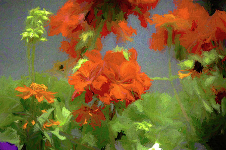 Orange Blooms Digital Art by Pheasant Run Gallery
