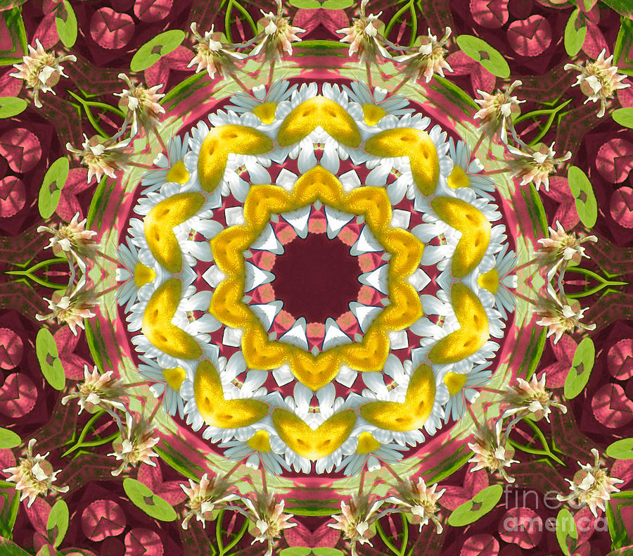 Orange Blossoms Digital Art by Shirley Moravec