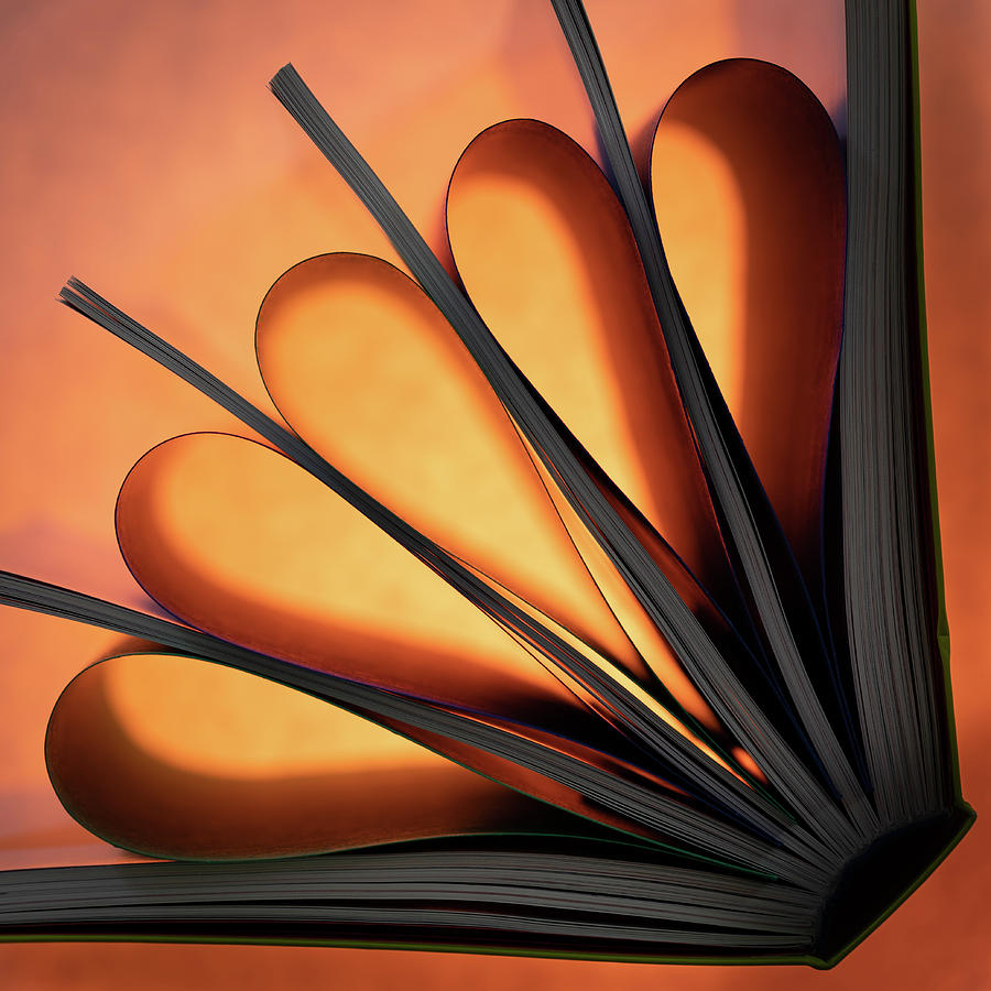 Orange Book Abstract Photograph