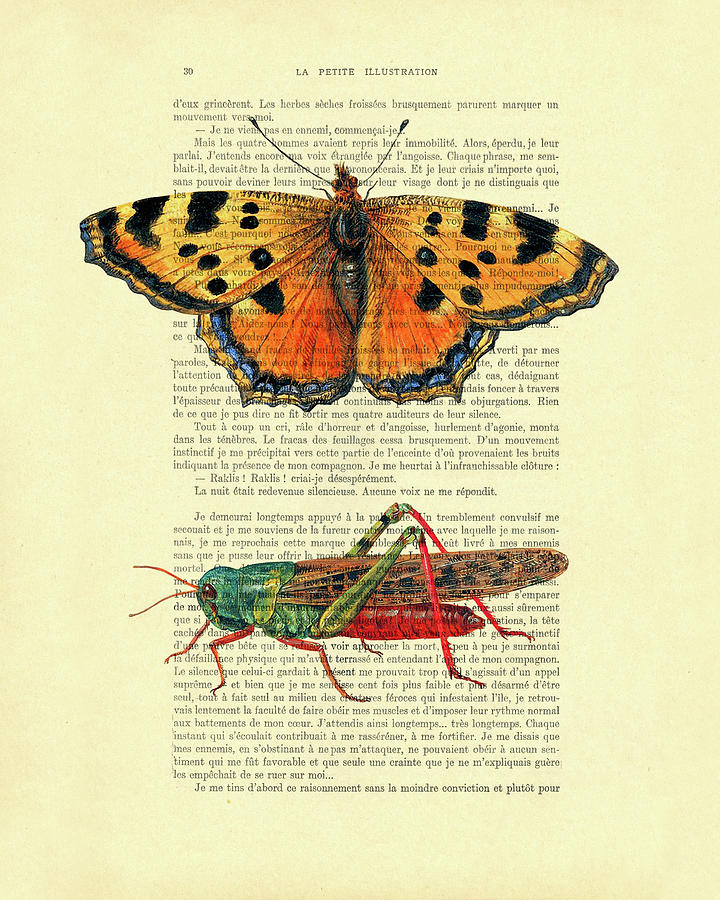 Butterfly Digital Art - Orange butterfly and grasshopper artwork by Madame Memento
