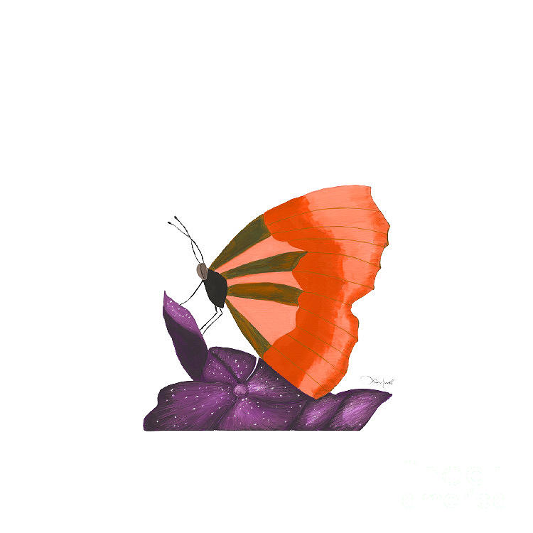 Orange Butterfly Painting by Lisa Senette