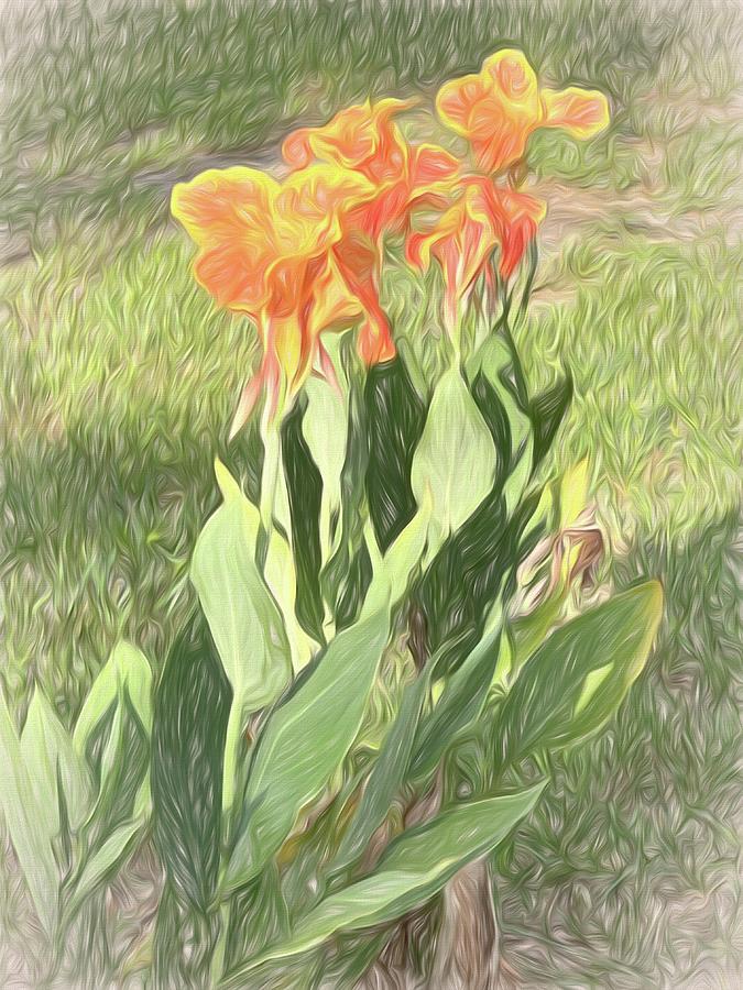 Nature Photograph - Orange Canna Lilies by Aimee L Maher ALM GALLERY