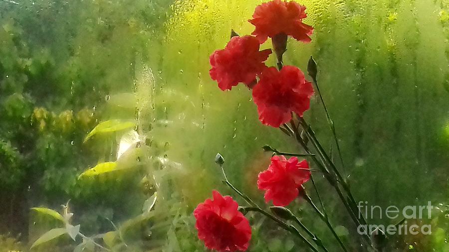 Orange Carnations Through the Misty Rain 2 Photograph by Joan-Violet Stretch