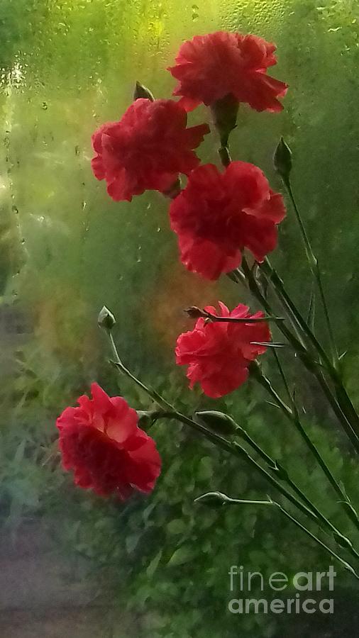 Orange Carnations Through the Misty Rain Photograph by Joan-Violet Stretch