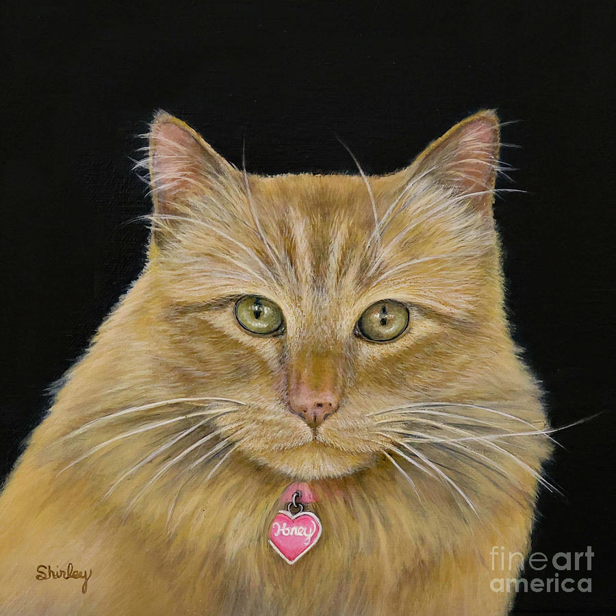 Orange Cat Painting by Shirley Dutchkowski