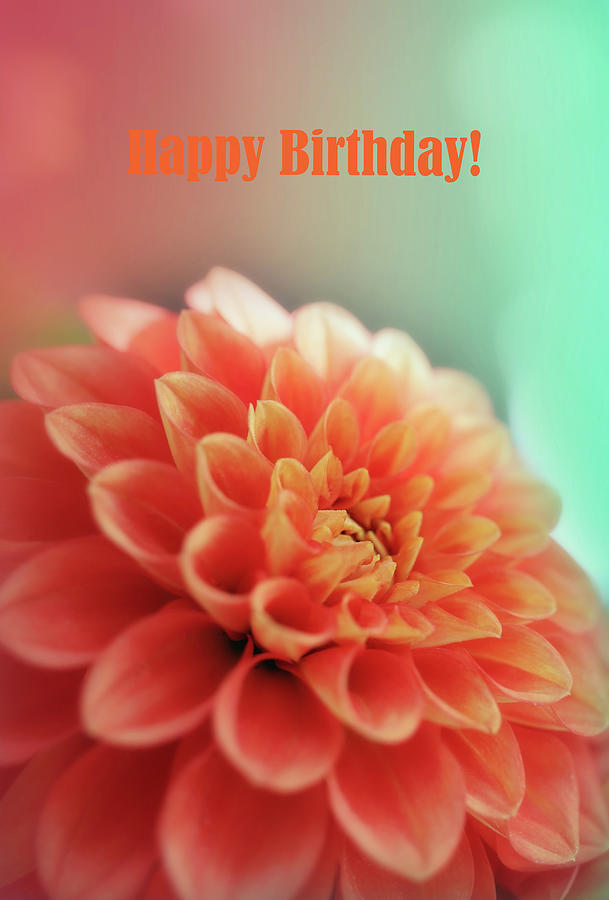 Orange Colored Dahlia Happy Birthday Photograph by Johanna Hurmerinta ...